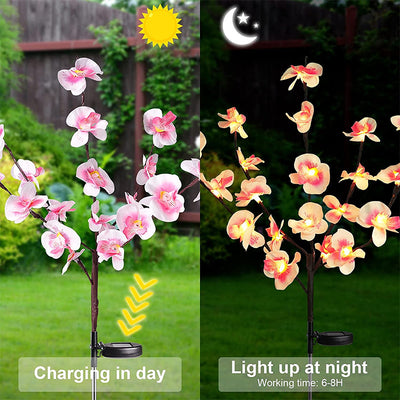 Solar Flower Lantern Phalaenopsis