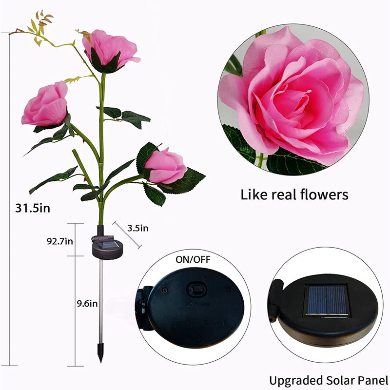Solar Simulation Rose Flower