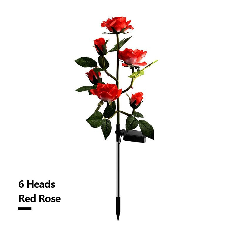 Solar Simulation Rose Flower