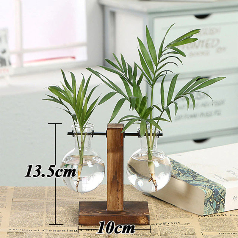 Terrarium Creative Hydroponic Plant Vase