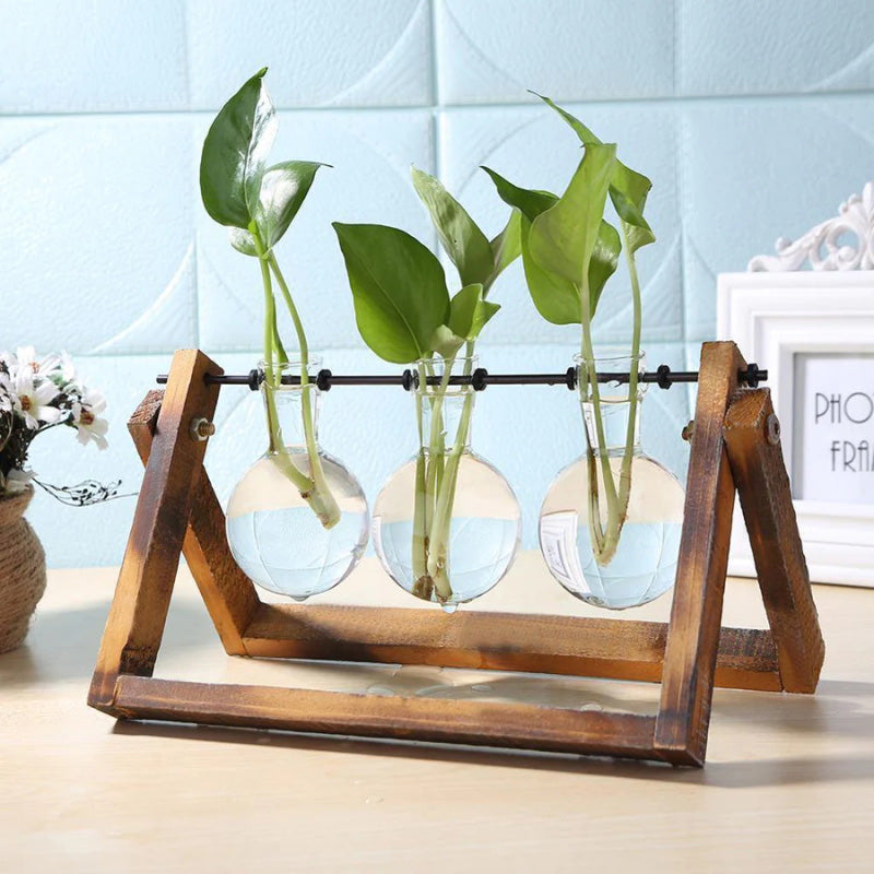 Terrarium Creative Hydroponic Plant Vase
