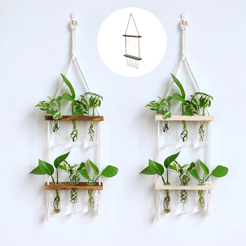 Test Tube Glass Wall Hanging