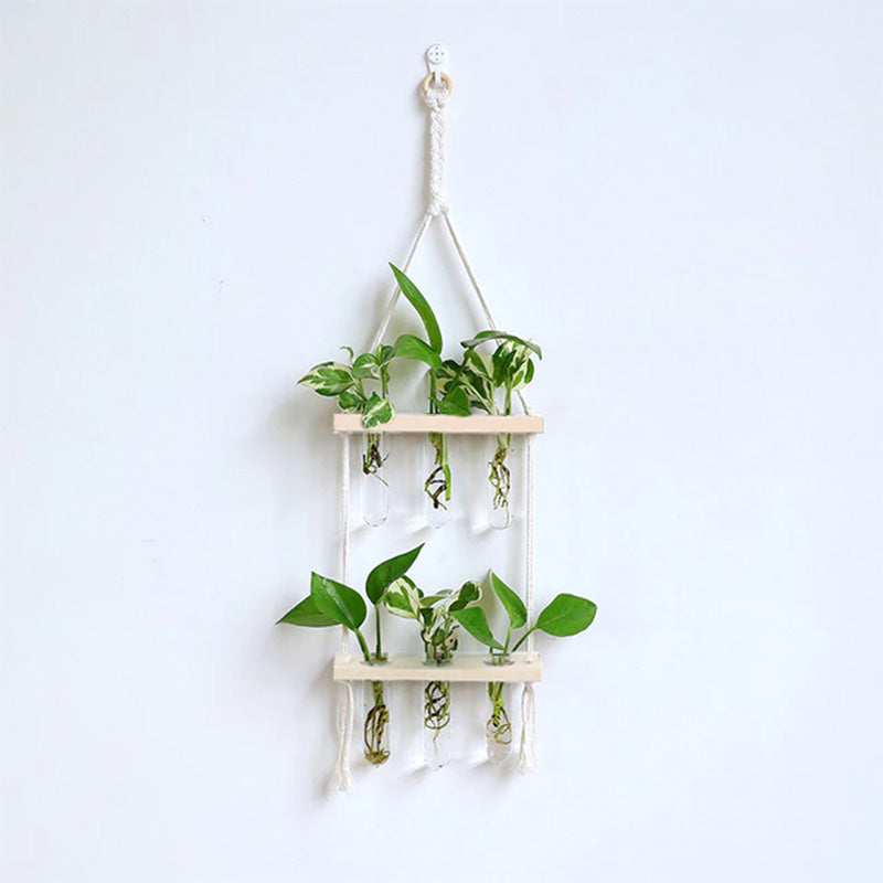 Test Tube Glass Wall Hanging